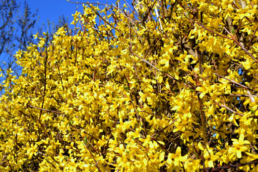 1453490 (a): :2560x1706
